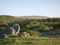 버터브룩 코치 하우스 스파크웰 호텔