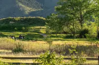 Golden Cottage Near Red Rocks and School of Mines! - spa