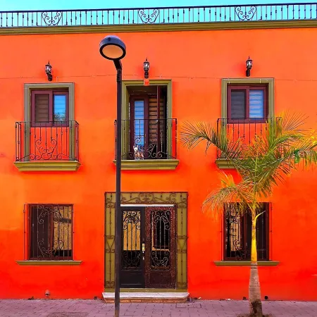 Casa del Arbol