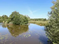 Lakeside Lodge فنادق في أتلبورو