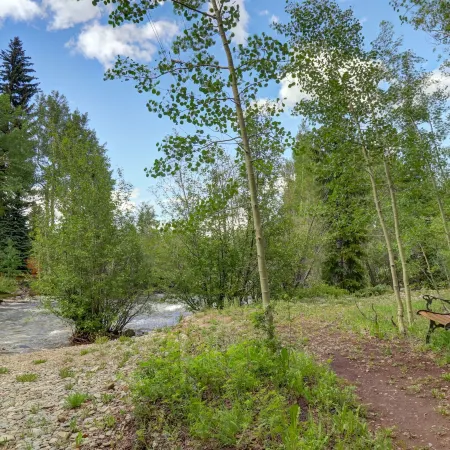 101 Streamside Lane Condo