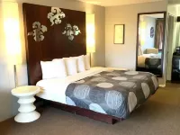 Oxford Inn Hotels in Ozark