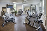 Focus Hotel Hotels in Eich