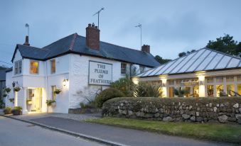 The Plume of Feathers