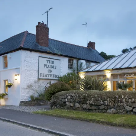 The Plume of Feathers
