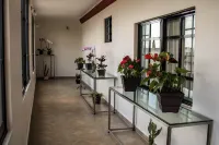 Mansion de Los Abuelos Các khách sạn ở Temascalcingo