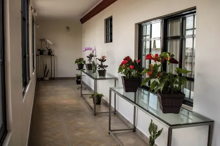 Mansion de Los Abuelos Отели в г. Temascalcingo