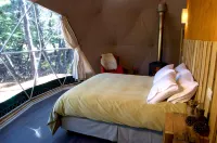 Huemules Reserva de Montana Hotels in 