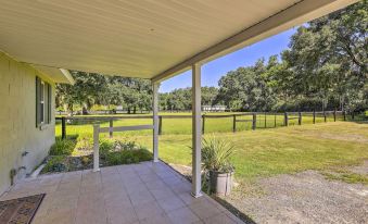 Pet-Friendly Home Close to Wec Ocala! - Housity