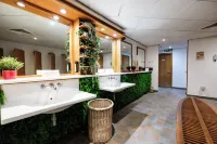 Lakeside Hotel and Spa - spa