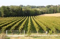 Caspineda Agriturismo Hotels in Montebelluna