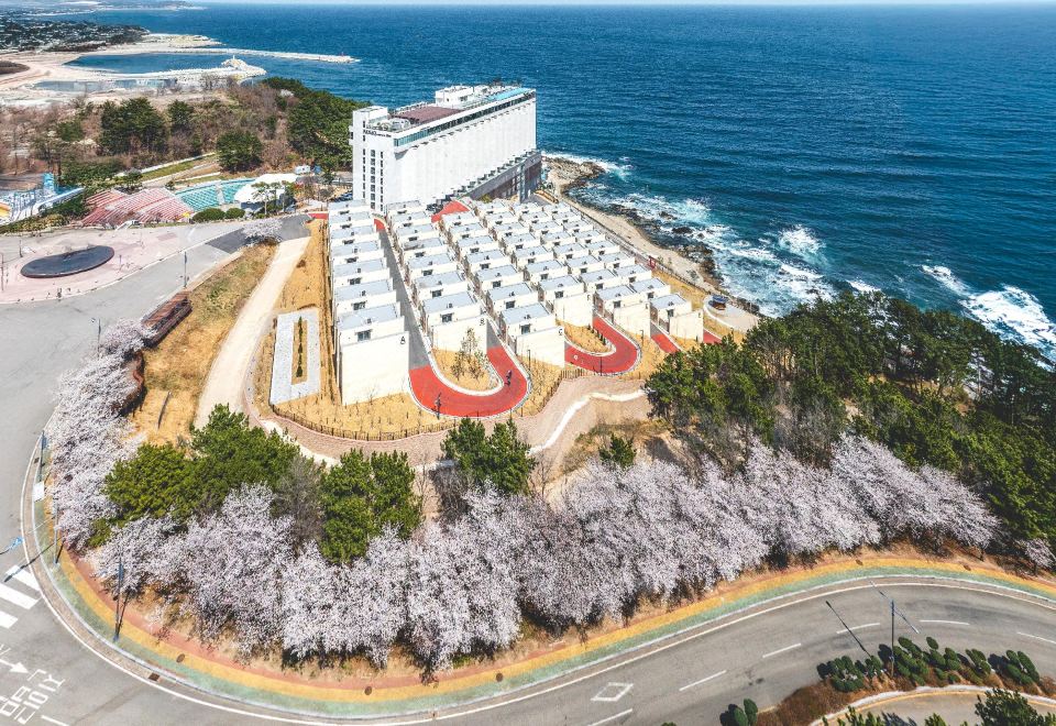 파나크 오퍼레이티드 바이 소노