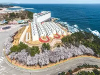 파나크 오퍼레이티드 바이 소노 원척항 주변 호텔