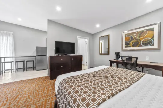 ザ スヌーズ イン