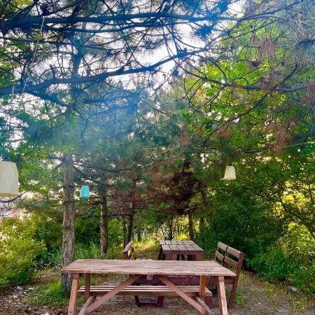 Bolu Otel