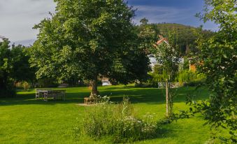 Hollerhöfe - Zu Gast im Dorf