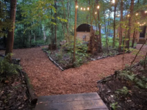 Bala Vida Cottage Steps to Lake Muskoka with Fire Pit & New Cedar Barrel Sauna Hotels near Lake Muskoka