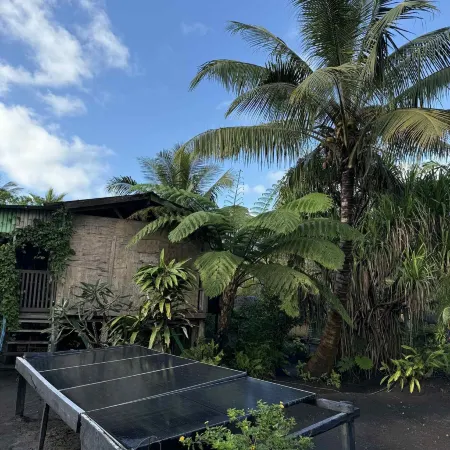 Jungle Oasis Bungalow Hotels in Tanna