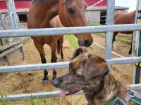 Accommodation kostera 1 OG Hotels in Babenhausen