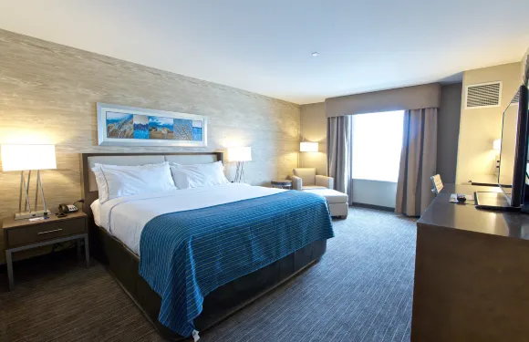 Holiday Inn Express 法戈