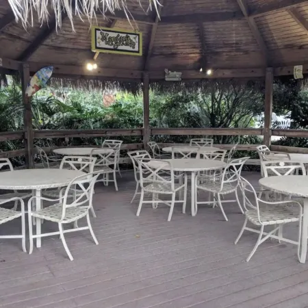 1st Level Poolbeach Disney Area