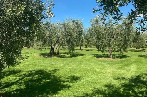 MELARANCIO HOME in the Tuscan countryside a few kilometers from Florence 라스트라아시냐 호텔