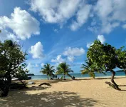 Cottage Palmier Rouge