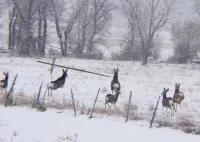 Enchanting cabin with WiFi in Tabiona - 3 bedrooms