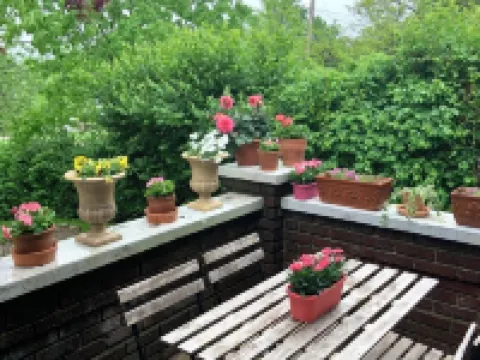 Cozy Cottage on Main. Halfway between the Ark and Creation Museum! Hotels in Walton