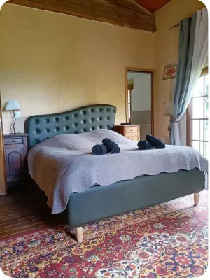 Mas CLOS DE TEILLAN with private swimming pool Hotel a Aimargues