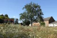 Poppy vacation apartment Coswig 호텔