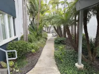 Welcoming One Bedroom Ground Floor condo with WiFi in charming Carpinteria Hotels in Carpinteria
