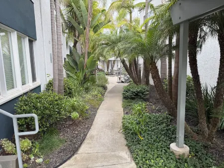 Welcoming One Bedroom Ground Floor condo with WiFi in charming Carpinteria