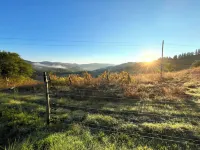 Chianti dreaming in Radda-3 independent bedrooms with private bathroom and TV