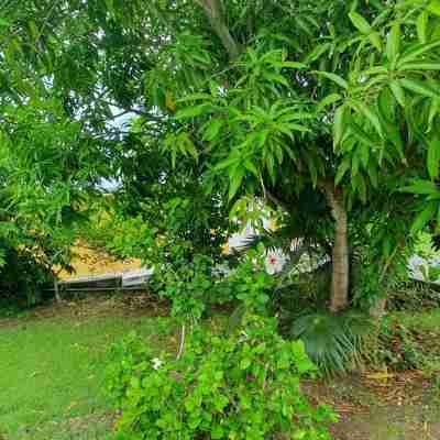 Villa Jolan 1km from Bois Jolan beach Hotel Exterior