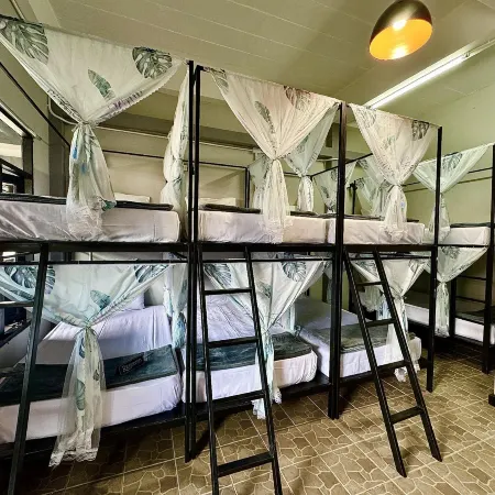 Eclipse Hostel and Bar