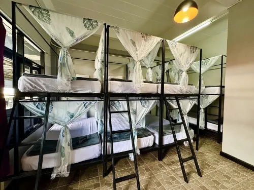 Eclipse Hostel and Bar