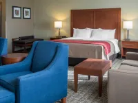 Comfort Inn Near Gila National Forest Hotels in Silver City