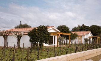 Imago Houses 2 - by MET