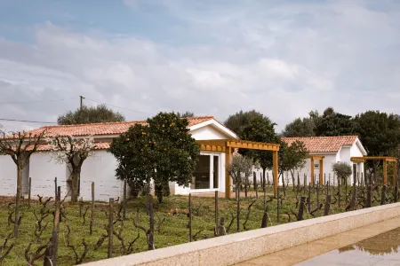 Imago Houses 2 - by MET Отели в г. Феррейруш-де-Авойнш