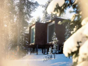 Arctic TreeHouse Hotel