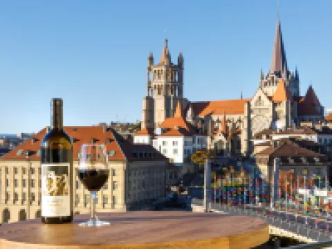Swiss Wine by Fassbind Hotels in Lausanne