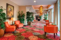 Holiday Inn 阿馬裏洛西部醫療中心 - 3星級