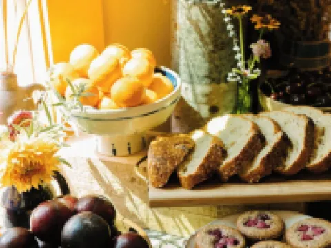 Eileen of Mystic Hotels in Groton