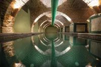 Castle Hotel Daniel Hotels in Miclosoara