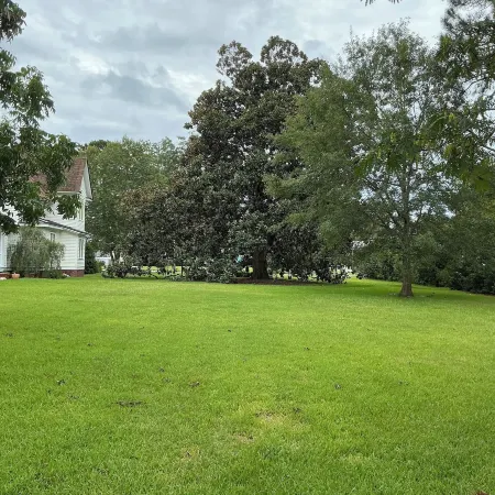 Magnolia House Bed & Breakfast