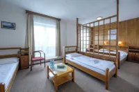 Hotel Tanecnica Hotels in Vsetin District