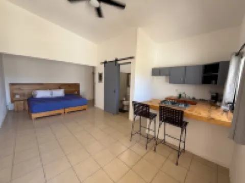 Estudio vuelo del aguila Hoteles en Todos Santos