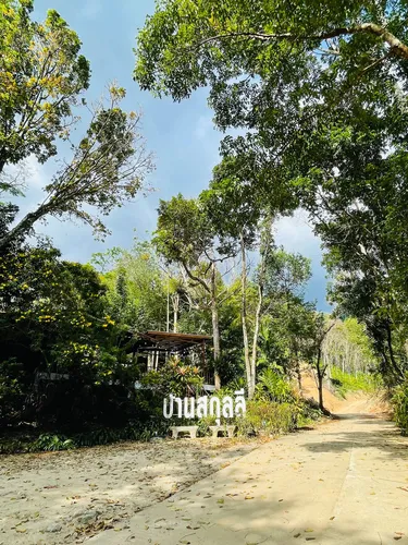 รูปภาพของFill your heart with nature at House of Lee#1