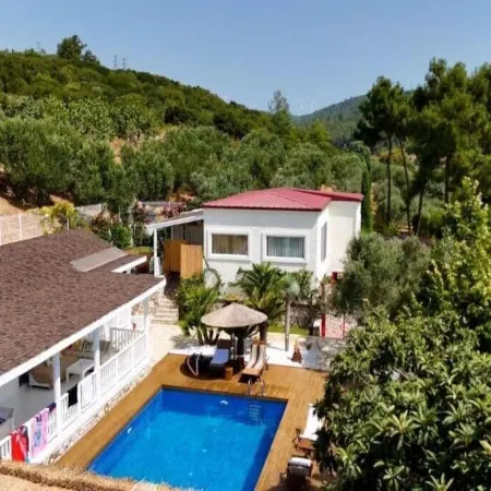 Casa Del Olivia
